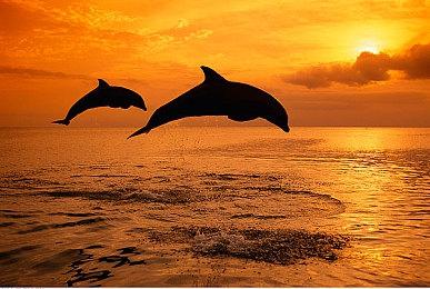 用97年原版视角运行《最终幻想7：重制版》效果展示